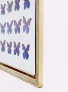 Picture of MORPHO FRAME